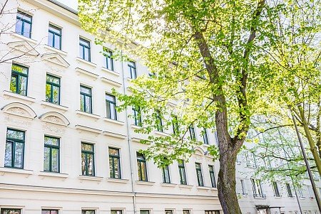 Mehrfamilienhaus in Leipzig Eutritzsch mit Linde im Vordergrund