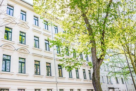 Mehrfamilienhaus in Leipzig Eutritzsch mit Linde im Vordergrund