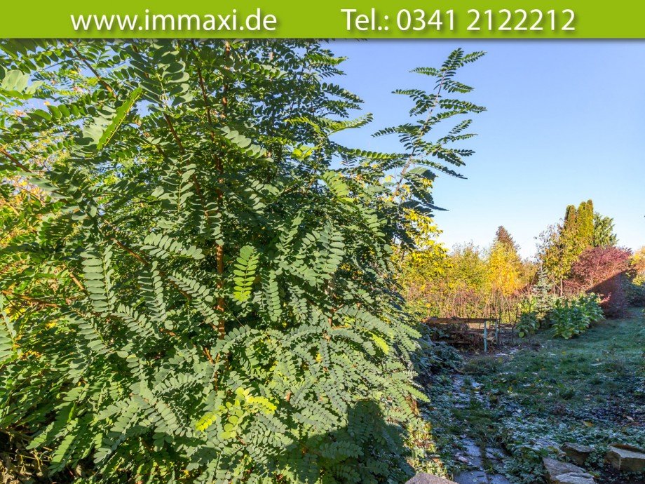 Grundst�ck-Lindenthal-zum-Kauf-(2) Grundst�ck Leipzig