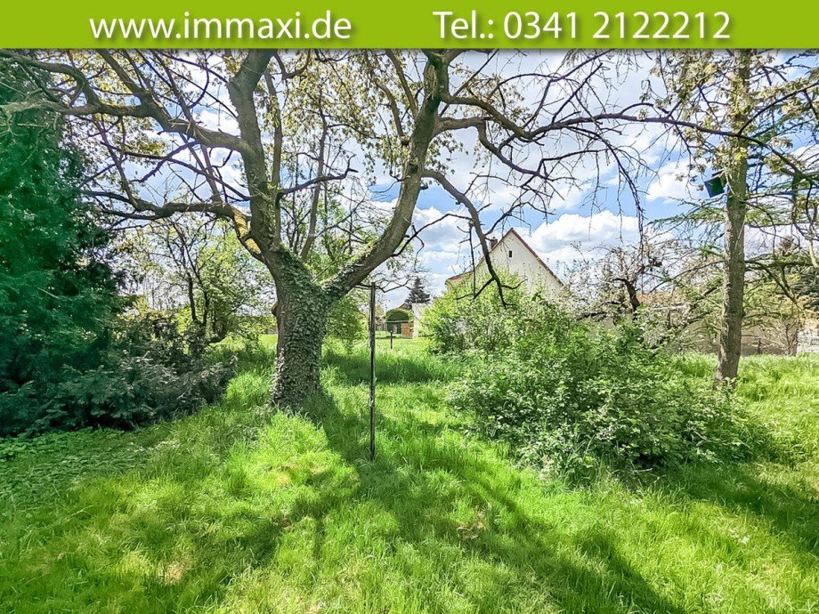 Grundst�ck zum Kauf in Zwenkau (2) Grundst�ck Zwenkau