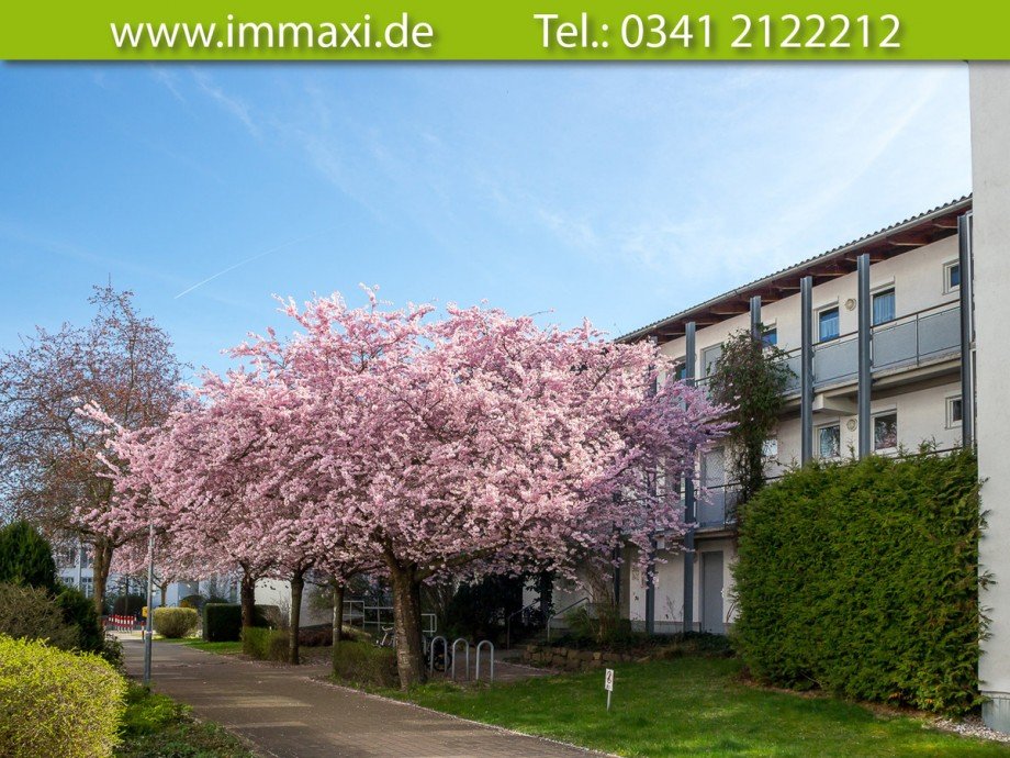 Trendelenburgstrasse-4--Hausansicht-vorn Etagenwohnung Leipzig