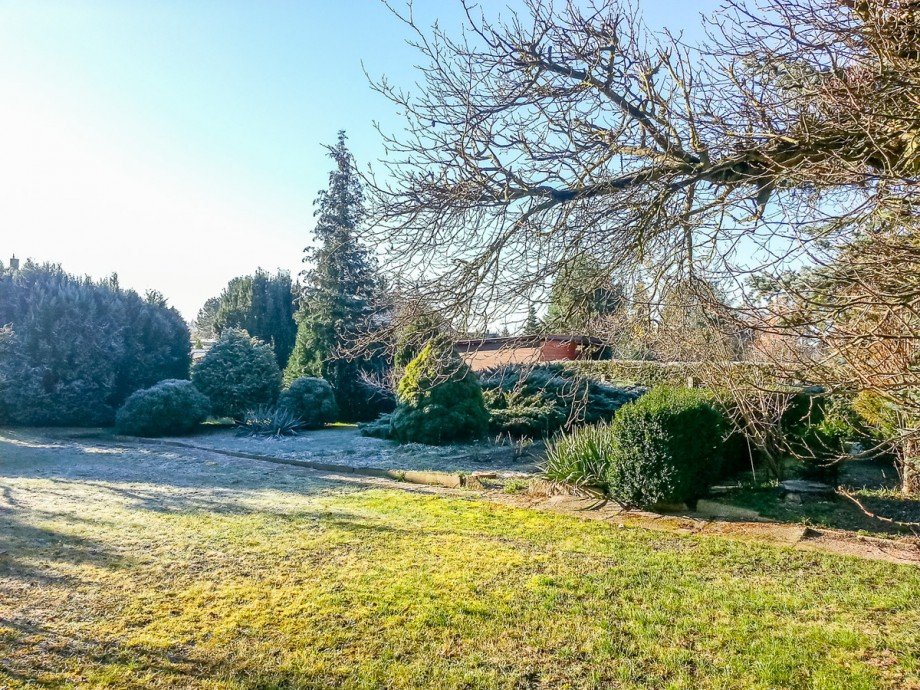 traumhafter Garten Einfamilienhaus Leipzig