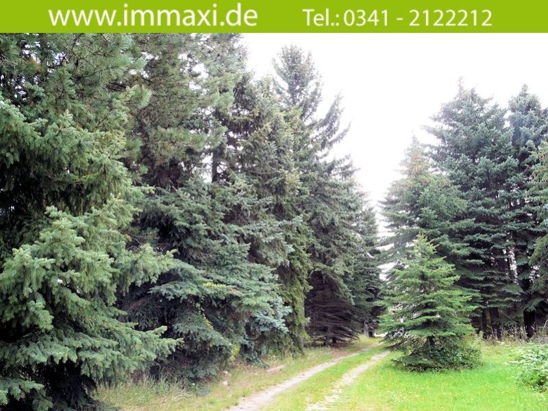 Grundst�ck Thekla Wohngrundst�ck Leipzig